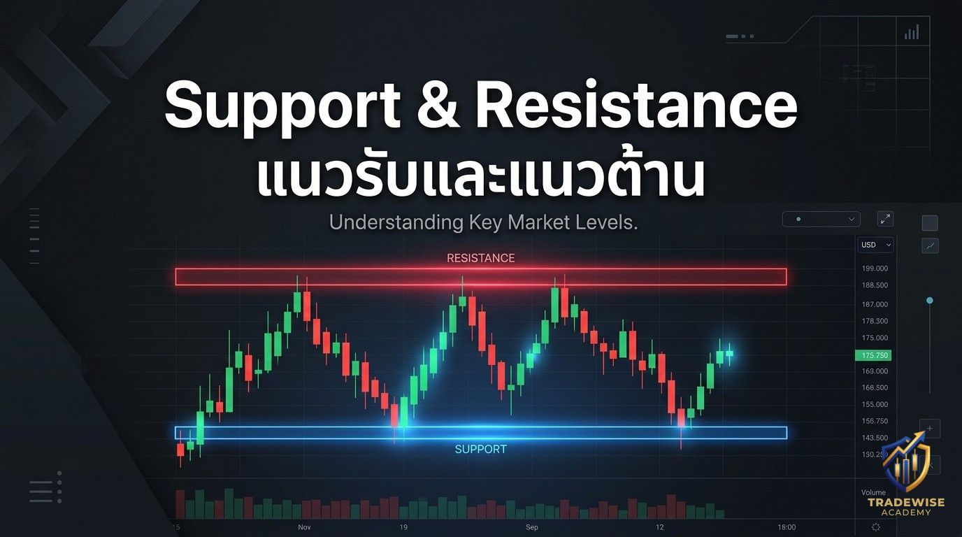 บทความรูปภาพ