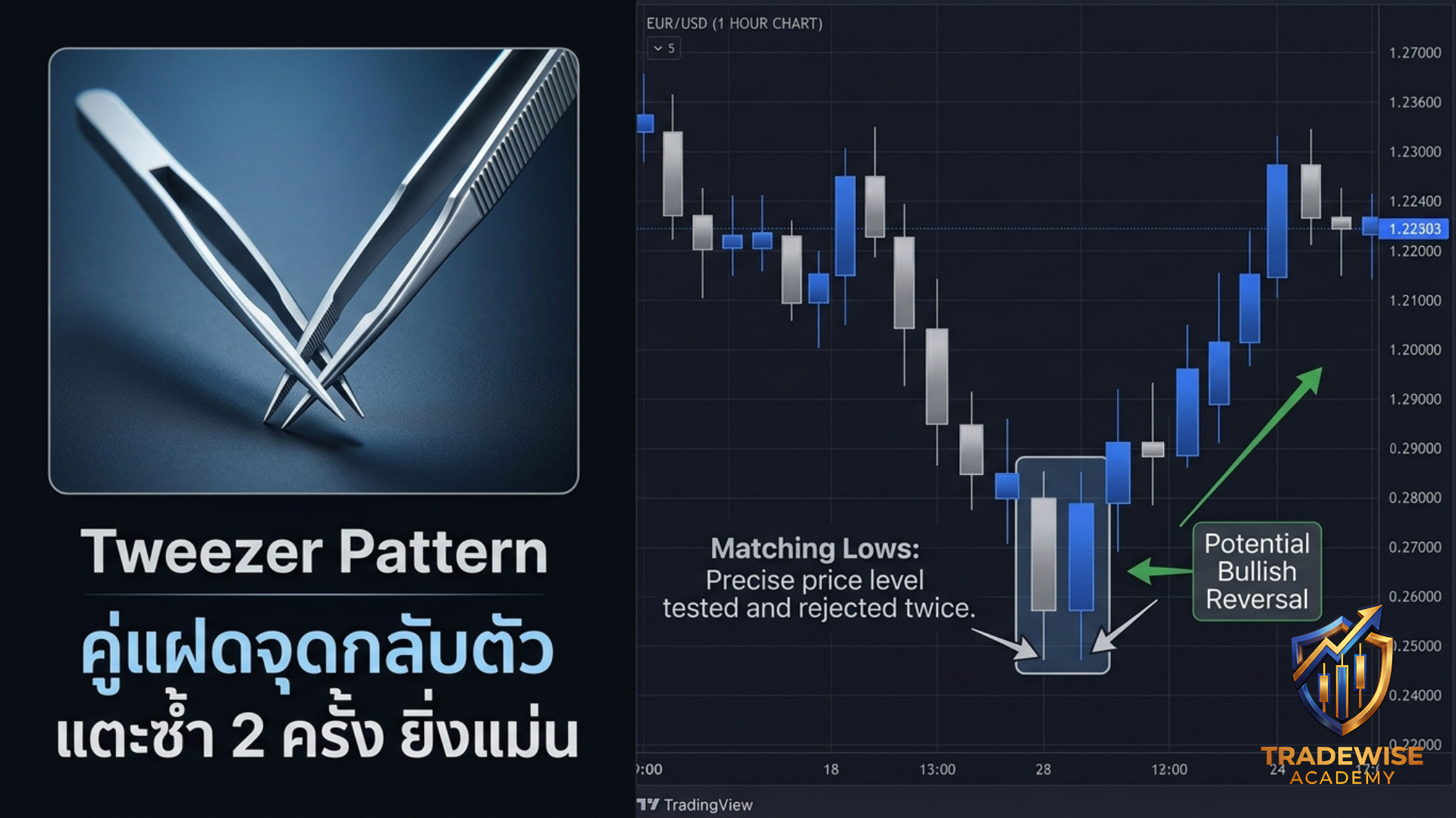 บทความรูปภาพ