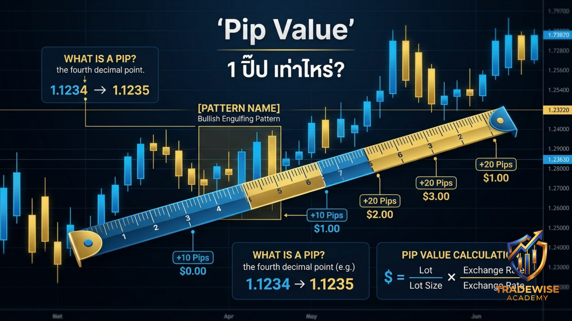 บทความรูปภาพ