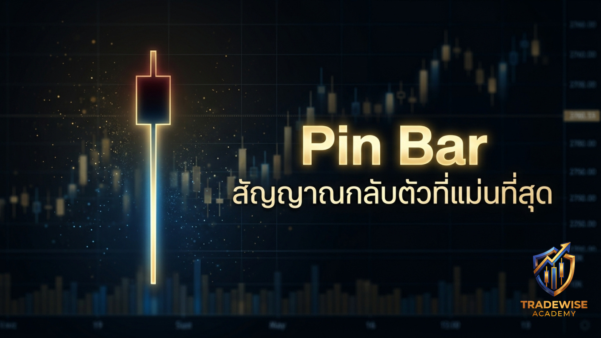 บทความรูปภาพ